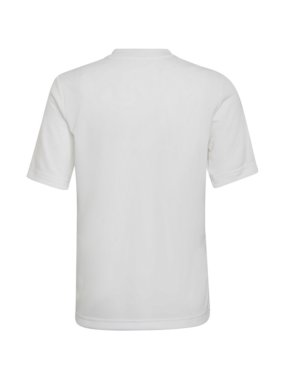 Adidas Entrada 22 Graphic Jersey vaikiški marškinėliai, balti ir pilki HF0120 1