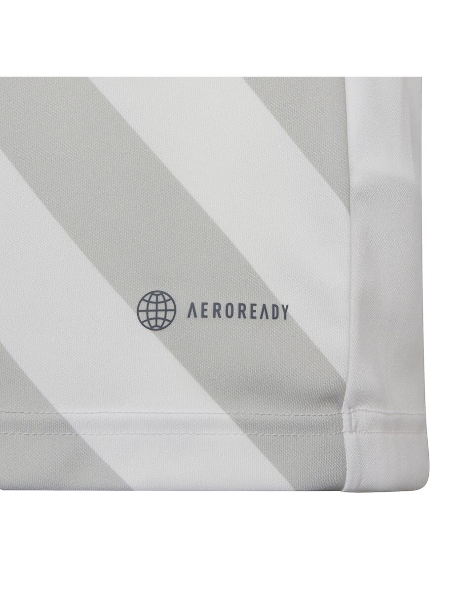 Adidas Entrada 22 Graphic Jersey vaikiški marškinėliai, balti ir pilki HF0120 3