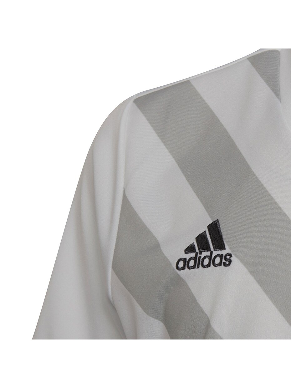 Adidas Entrada 22 Graphic Jersey vaikiški marškinėliai, balti ir pilki HF0120 4