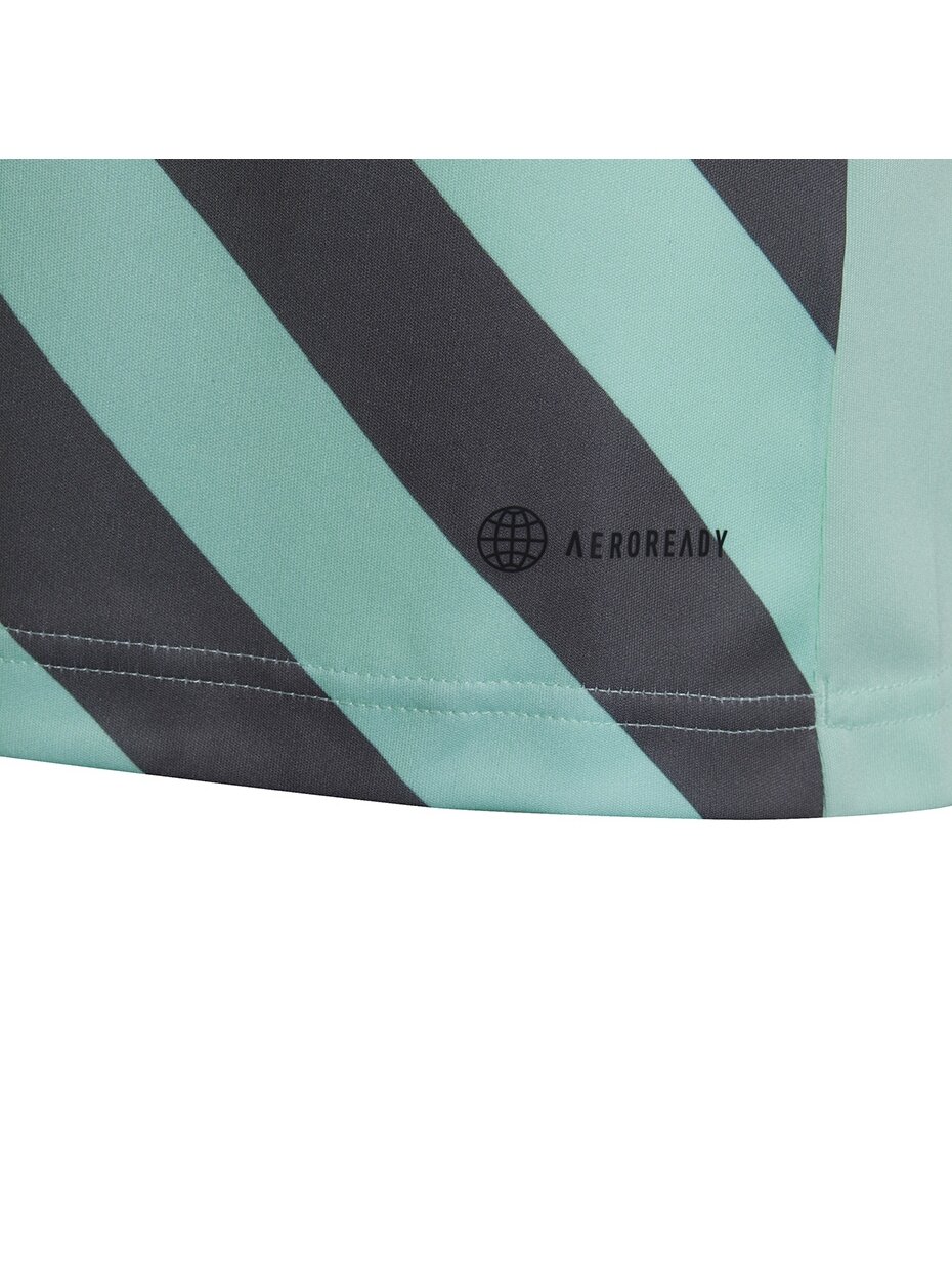Adidas Entrada 22 Graphic Jersey vaikiški marškinėliai mėtų pilkumo HF0127 3