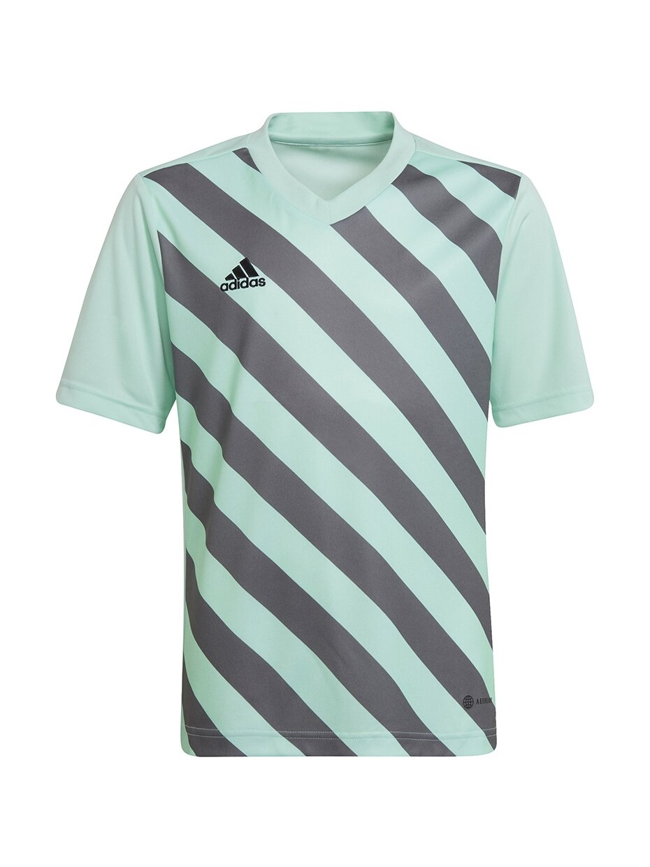 Adidas Entrada 22 Graphic Jersey vaikiški marškinėliai mėtų pilkumo HF0127