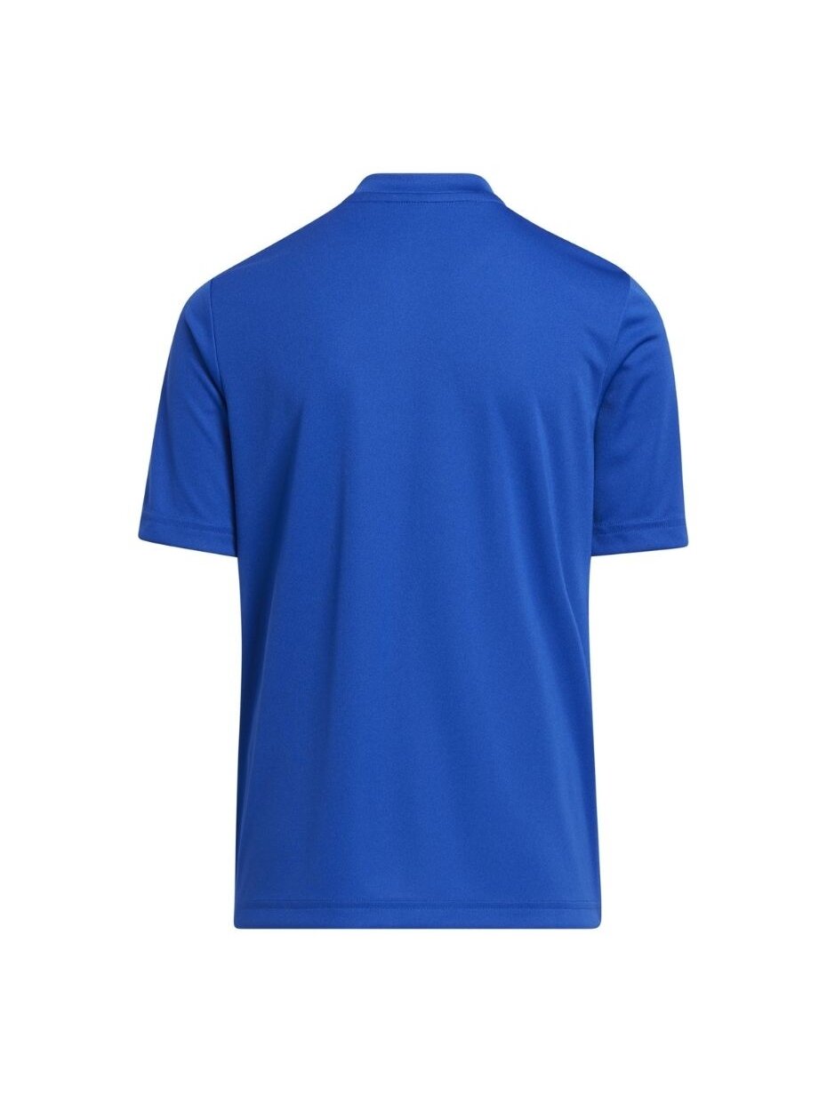 Adidas Entrada 22 Graphic Jersey vaikiški marškinėliai, mėlyni HF0130 1
