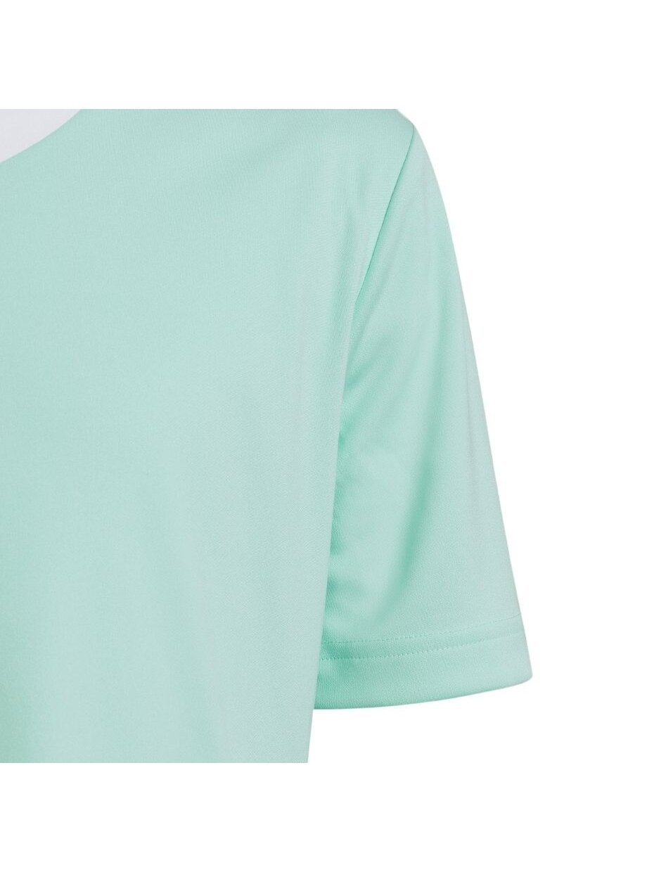 Vaikiški marškinėliai adidas Entrada 22 Jersey mint HC5078 2
