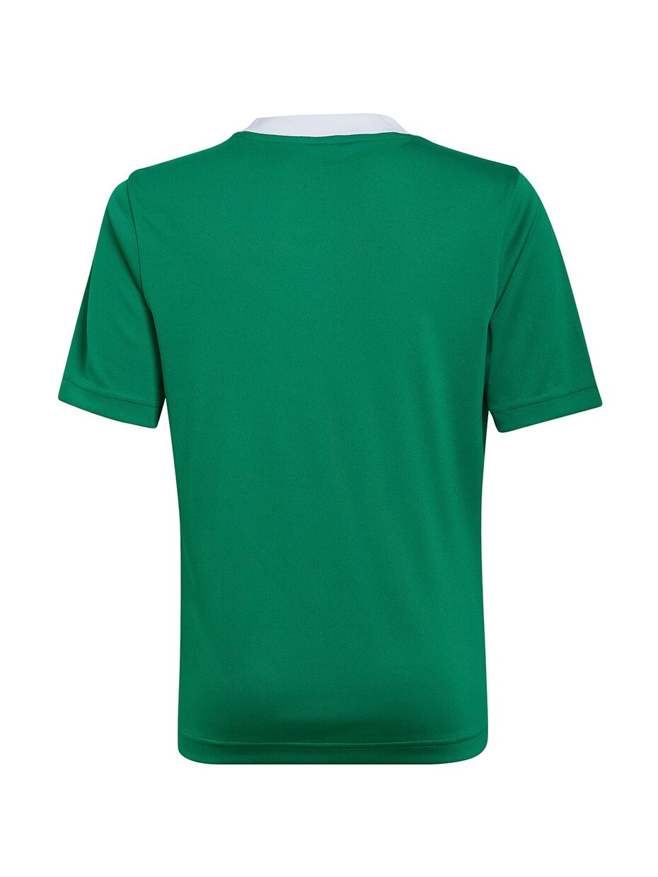 Adidas Entrada 22 Jersey vaikiški marškinėliai, žali HI2126 1 Adidas Entrada 22 Jersey vaikiški marškinėliai, žali HI2126 1