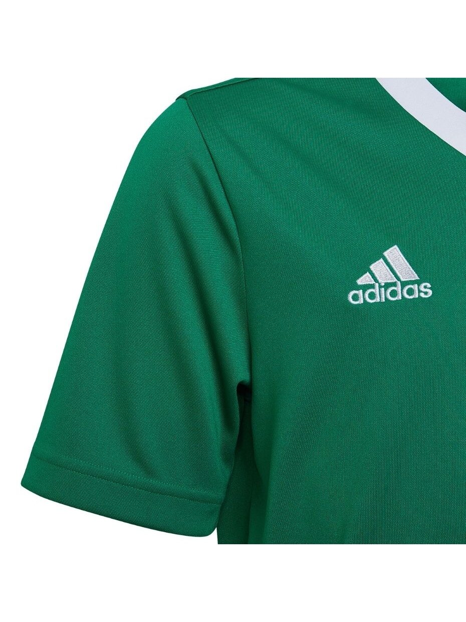 Adidas Entrada 22 Jersey vaikiški marškinėliai, žali HI2126 3 Adidas Entrada 22 Jersey vaikiški marškinėliai, žali HI2126 3