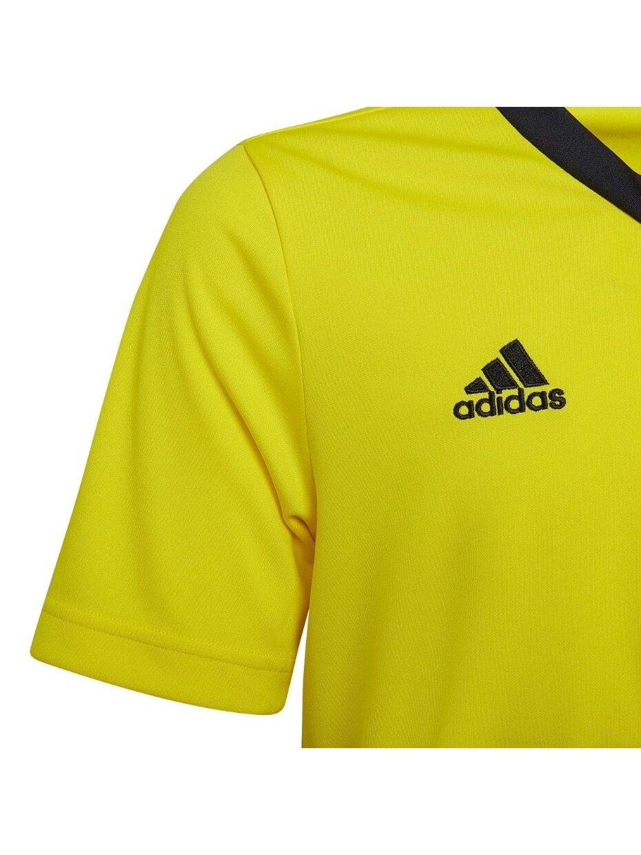Adidas Entrada 22 Jersey vaikiški marškinėliai, geltoni HI2127 2
