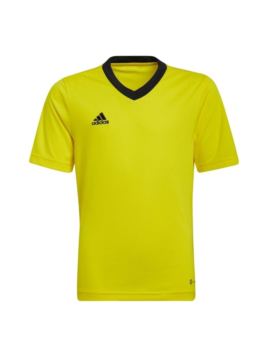 Adidas Entrada 22 Jersey vaikiški marškinėliai, geltoni HI2127