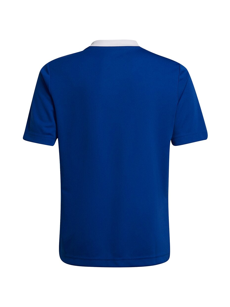 Adidas Entrada 22 Jsy vaikiški marškinėliai, mėlyni HG3948 1 Adidas Entrada 22 Jsy vaikiški marškinėliai, mėlyni HG3948 1