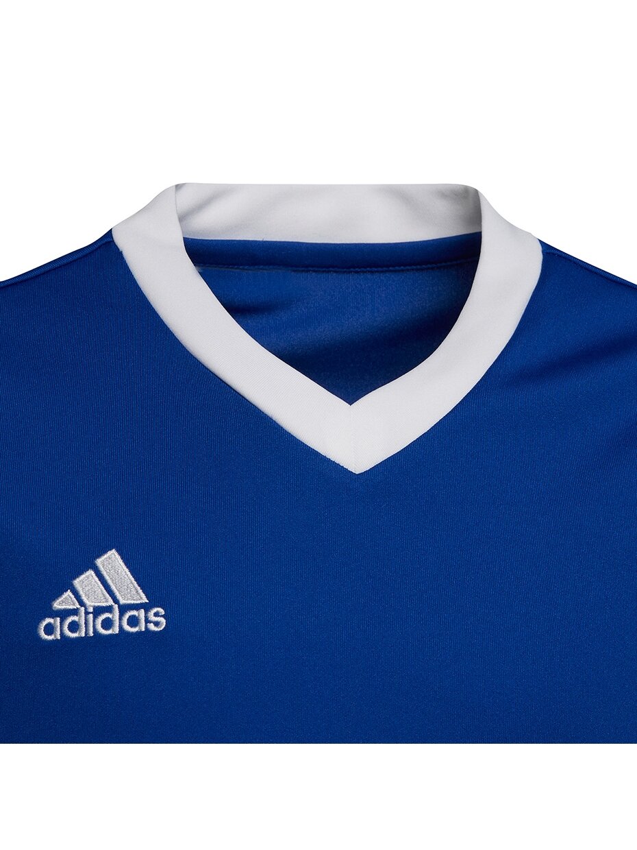 Adidas Entrada 22 Jsy vaikiški marškinėliai, mėlyni HG3948 2