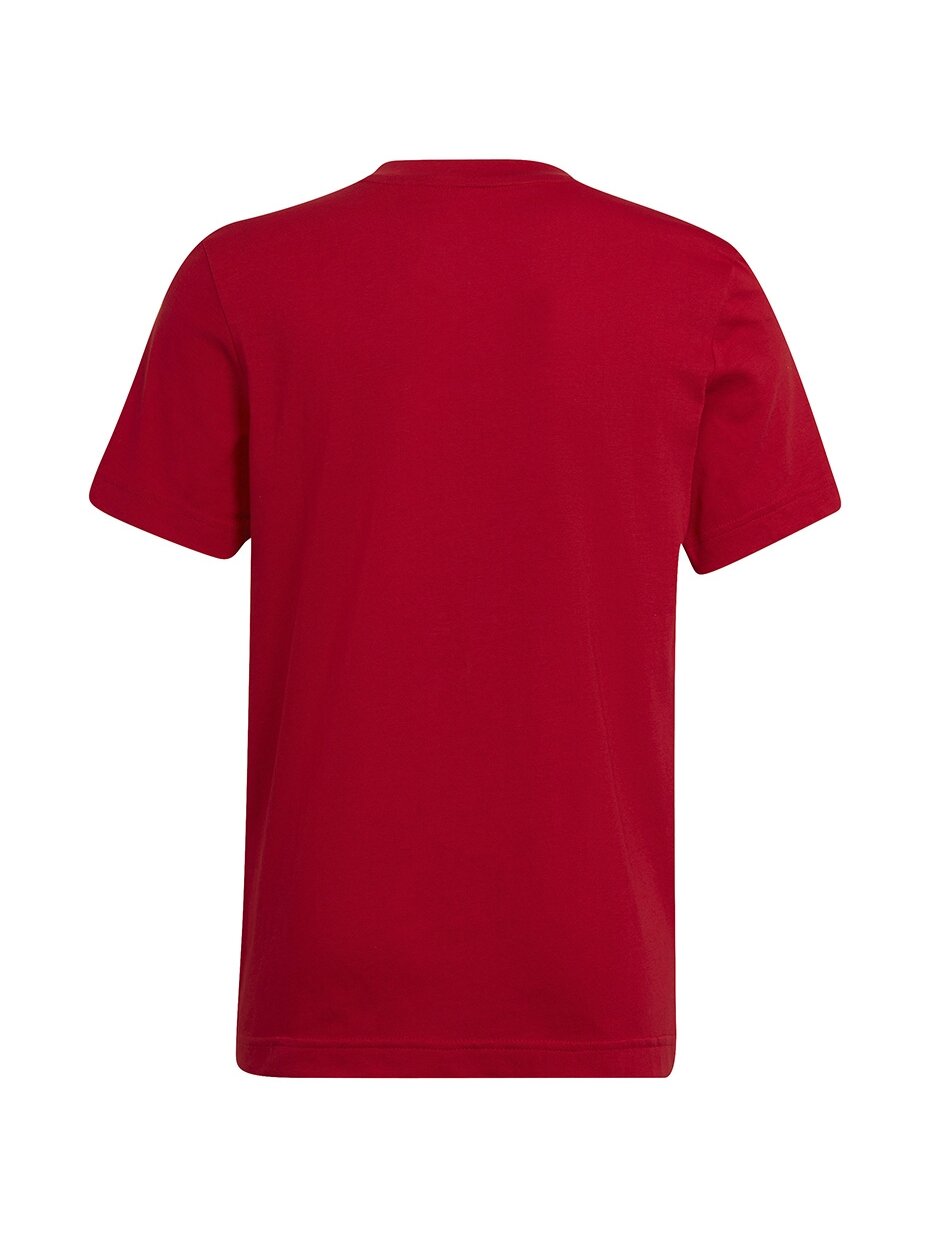 Adidas Entrada 22 Tee vaikiški marškinėliai, raudoni HC0446 1