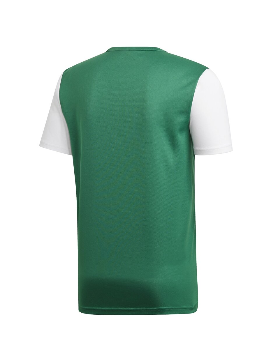 Adidas Estro 19 Jersey JUNIOR vaikiški marškinėliai žali DP3216/DP3238 9