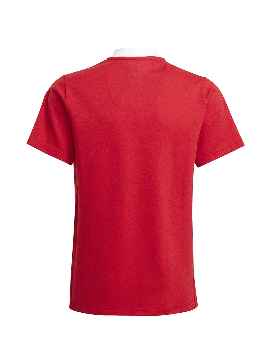 Adidas Tiro 21 Polo vaikiški marškinėliai raudoni GM7346 1