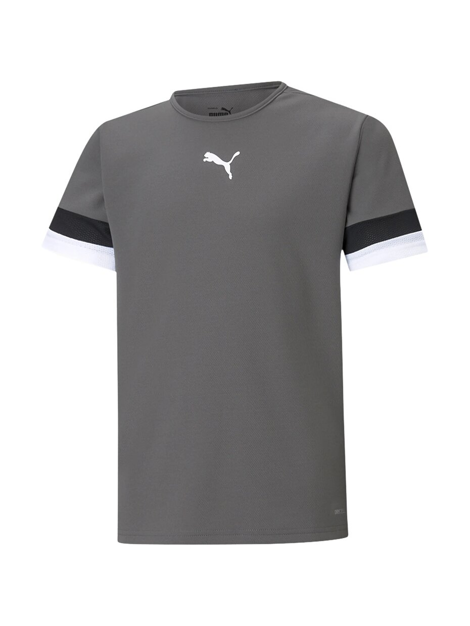 Puma teamRISE Jersey Jr vaikiški marškinėliai, pilki 704938 13 Puma teamRISE Jersey Jr vaikiški marškinėliai, pilki 704938 13