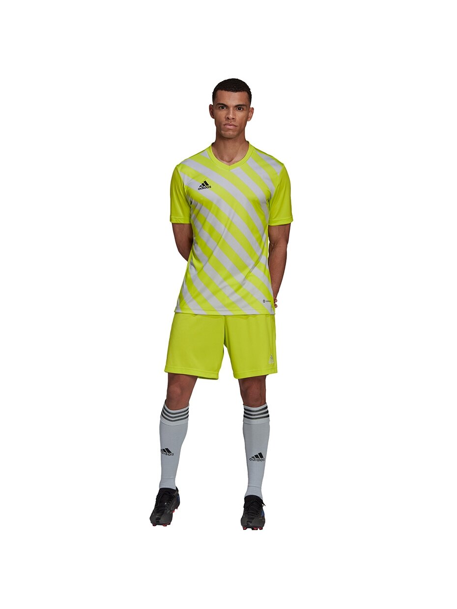 Vyriški marškinėliai Adidas Entrada 22 Graphic Jersey geltonai pilka HF0118 5