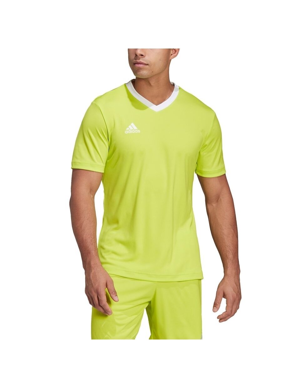 Vyriški marškinėliai adidas Entrada 22 Jersey lime HC5077 4