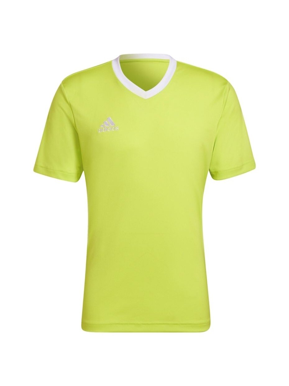 Vyriški marškinėliai adidas Entrada 22 Jersey lime HC5077