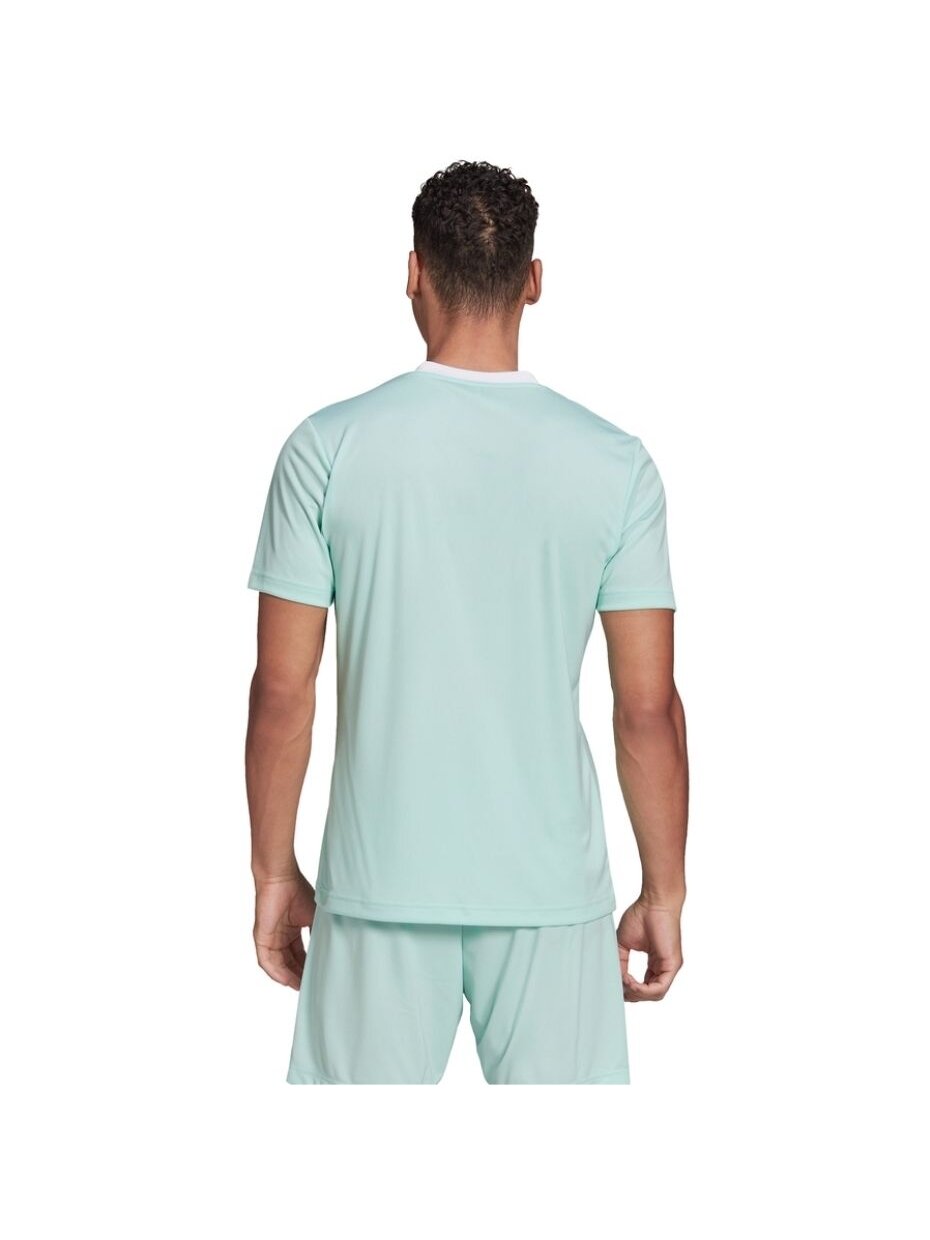 Vyriški marškinėliai adidas Entrada 22 Jersey mint HC5073 1