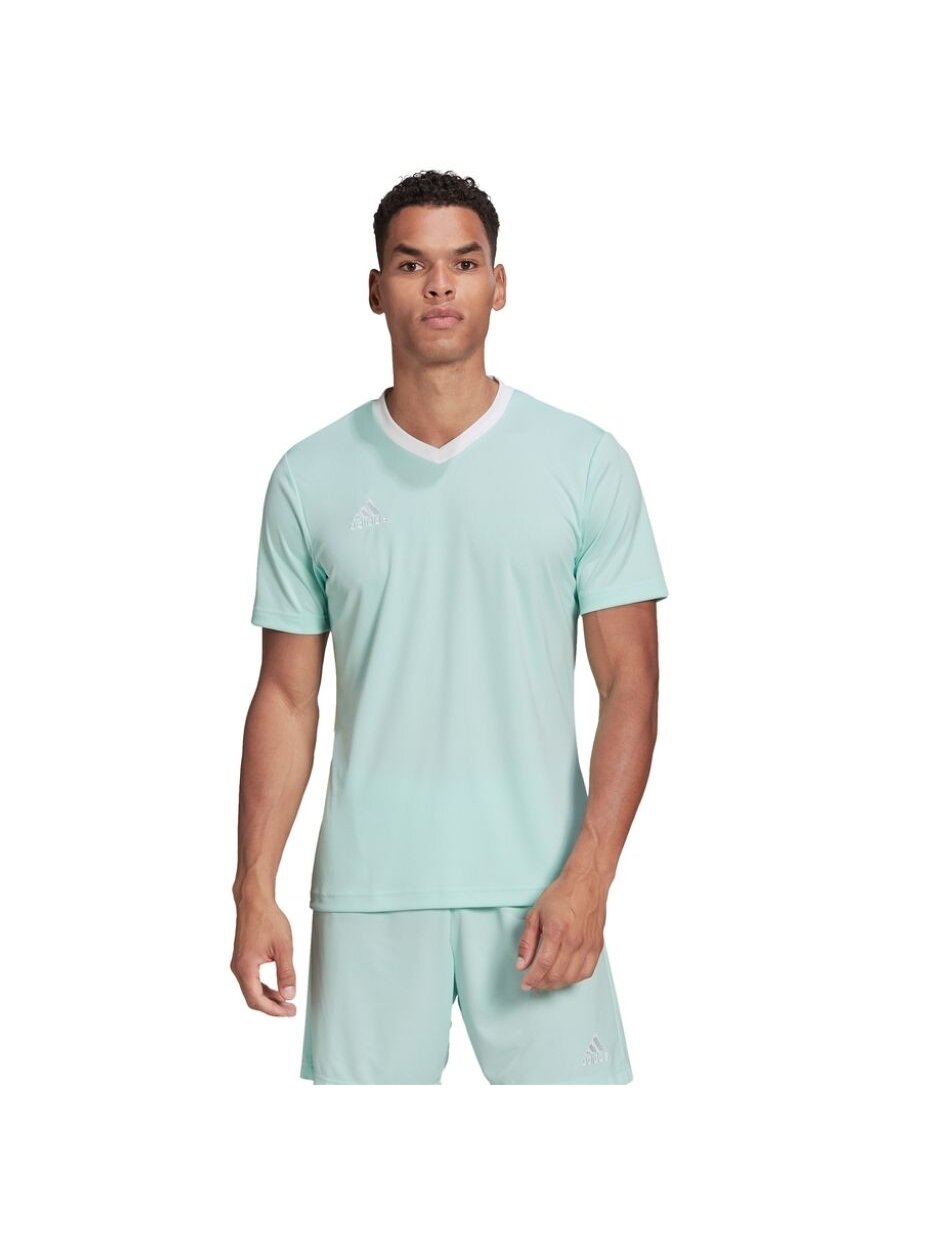 Vyriški marškinėliai adidas Entrada 22 Jersey mint HC5073 2