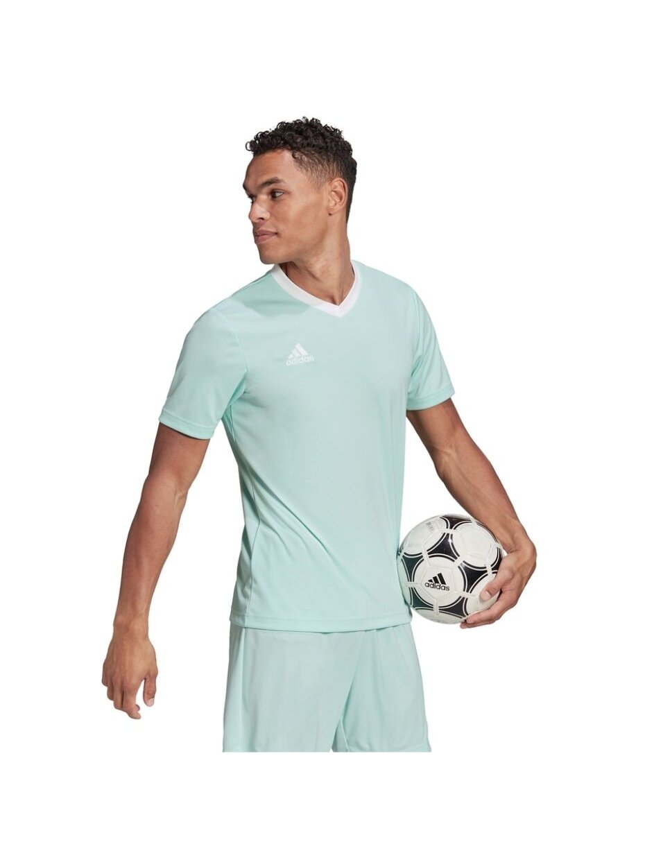Vyriški marškinėliai adidas Entrada 22 Jersey mint HC5073 3