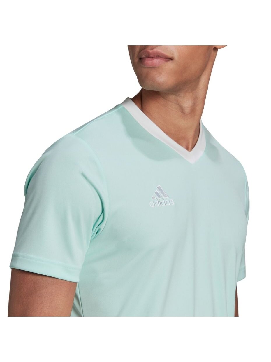 Vyriški marškinėliai adidas Entrada 22 Jersey mint HC5073 6