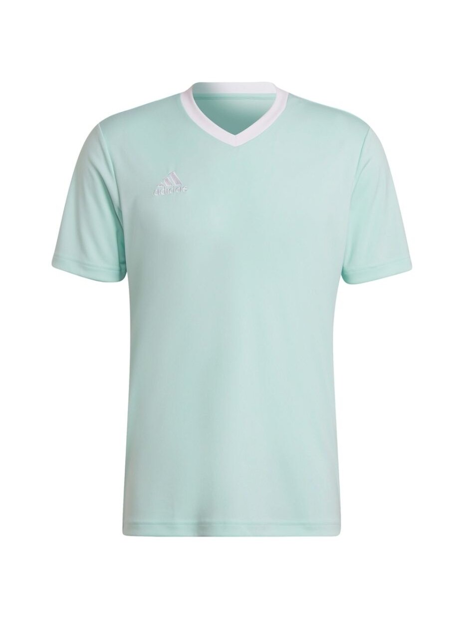 Vyriški marškinėliai adidas Entrada 22 Jersey mint HC5073
