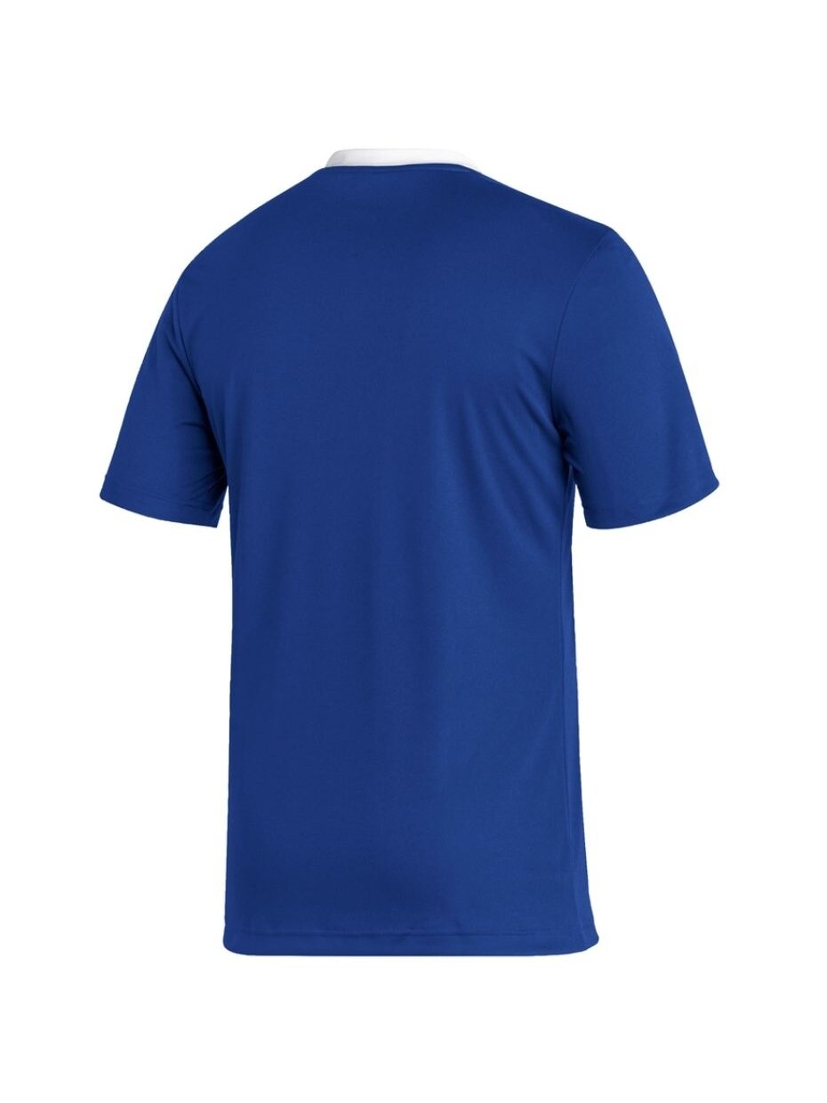 Vyriški marškinėliai Adidas Entrada 22 Jersey blue HG6283 1