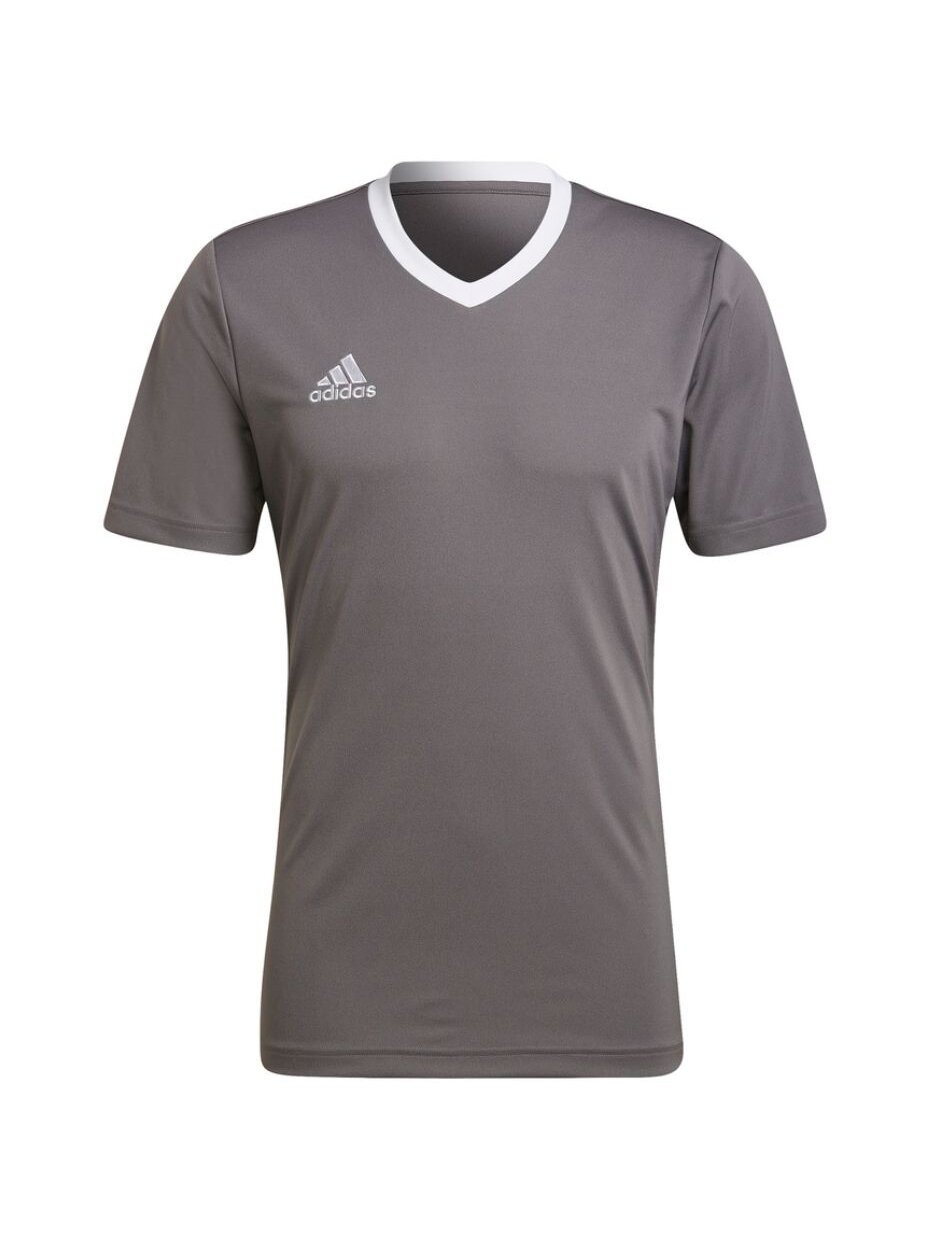 Vyriški marškinėliai Adidas Entrada 22 Jersey ball HE1574 1 Vyriški marškinėliai Adidas Entrada 22 Jersey ball HE1574 1