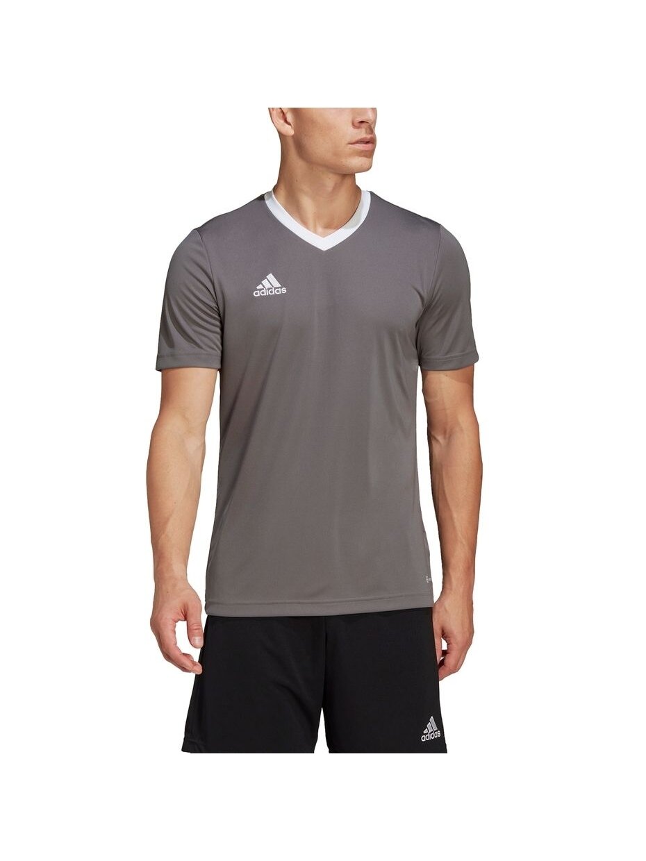 Vyriški marškinėliai Adidas Entrada 22 Jersey ball HE1574 4