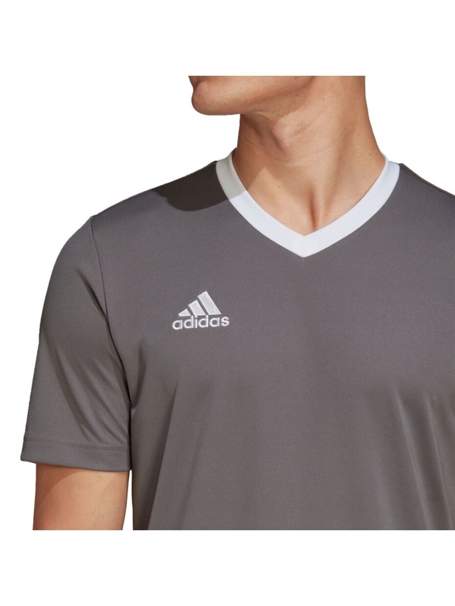 Vyriški marškinėliai Adidas Entrada 22 Jersey ball HE1574 5