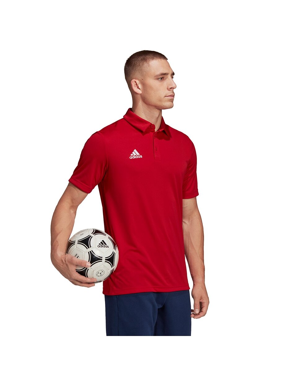 Vyriški marškinėliai Adidas Entrada 22 Polo red H57489 2