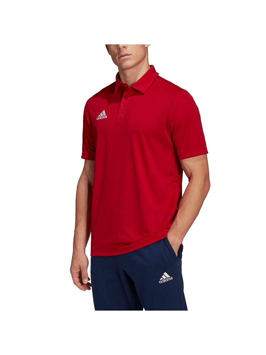 Vyriški marškinėliai Adidas Entrada 22 Polo red H57489 3