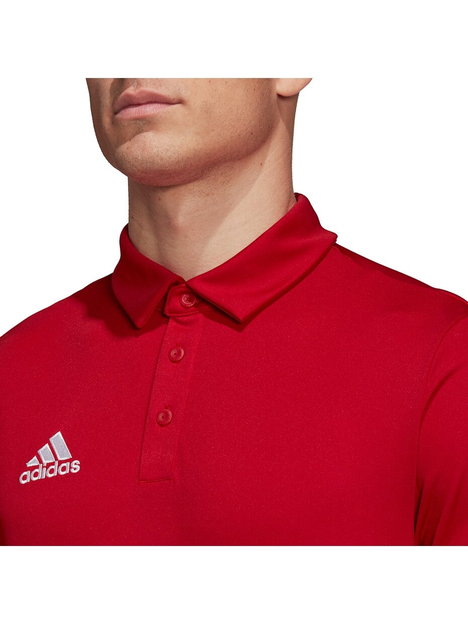 Vyriški marškinėliai Adidas Entrada 22 Polo red H57489 4
