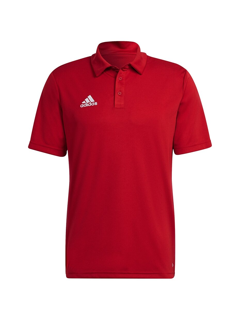 Vyriški marškinėliai Adidas Entrada 22 Polo red H57489