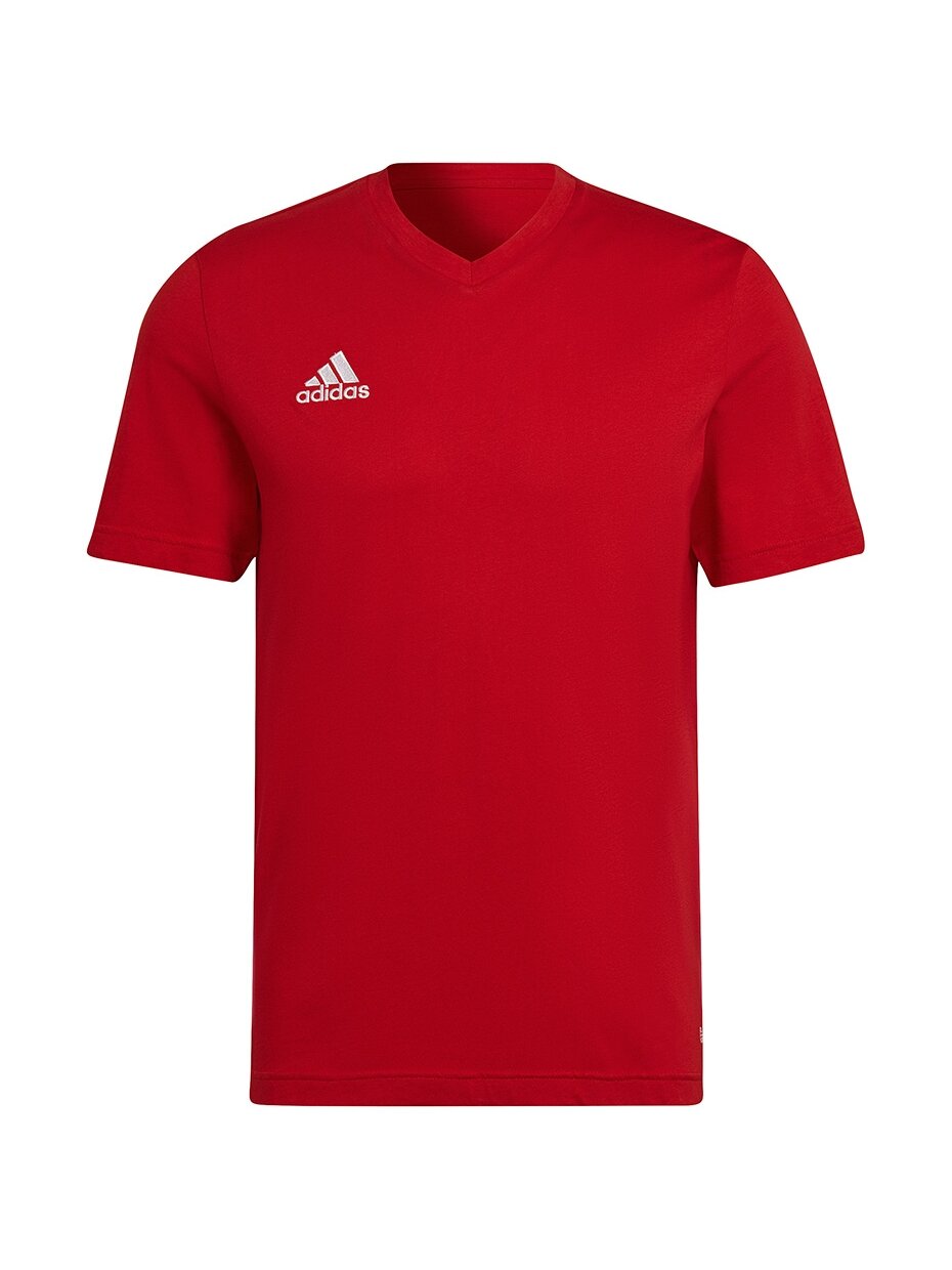 Vyriški marškinėliai Adidas Entrada 22 Tee red HC0451
