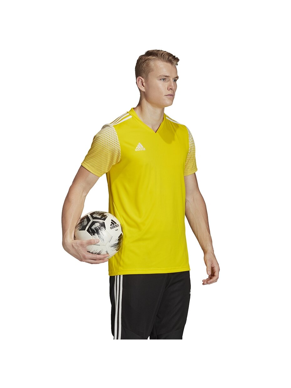 Vyriški marškinėliai Adidas Regista 20 Jersey geltoni FI4556 1