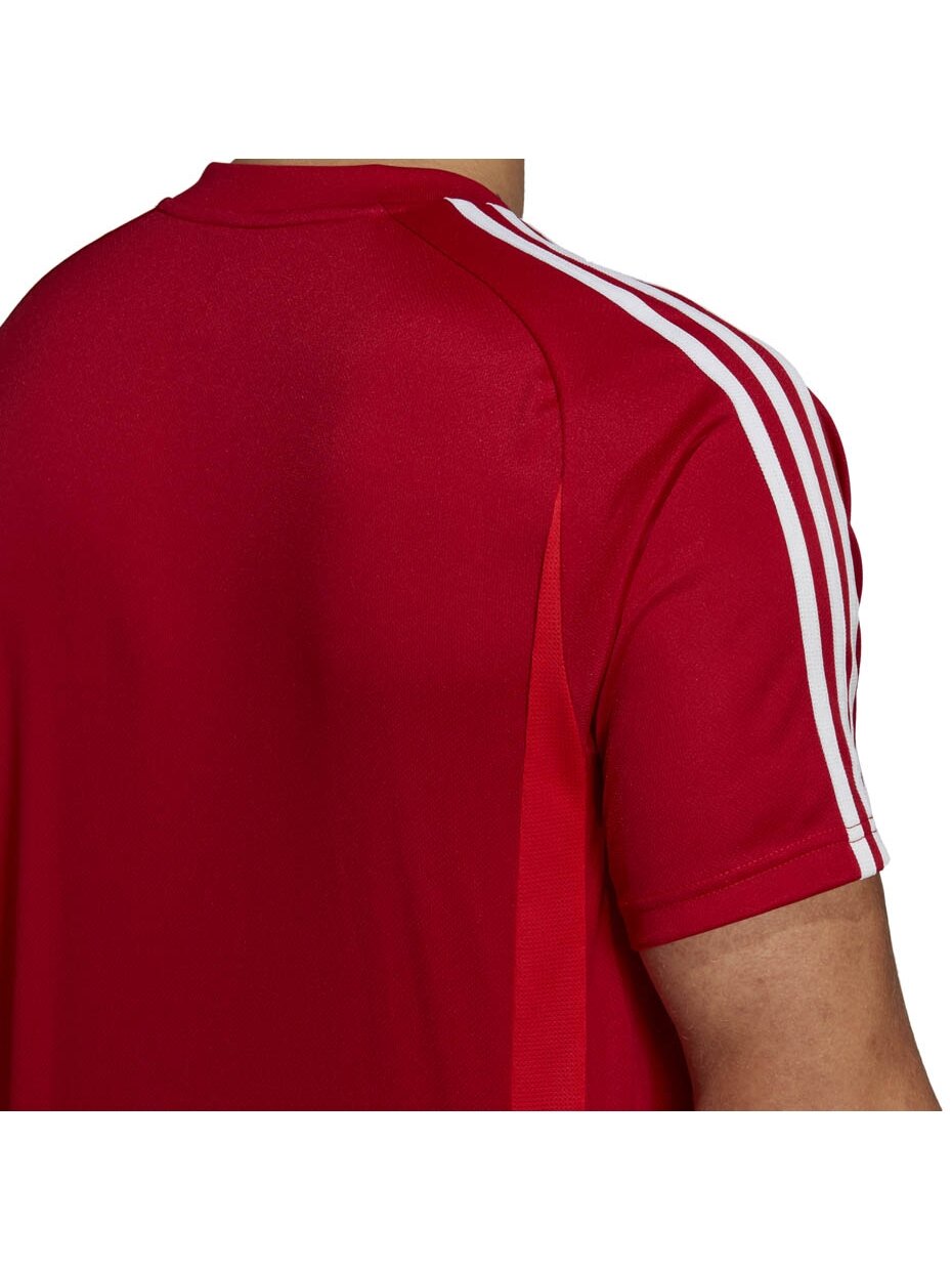 Vyriški marškinėliai adidas Tiro 19 Training Jersey, raudoni D95944 1