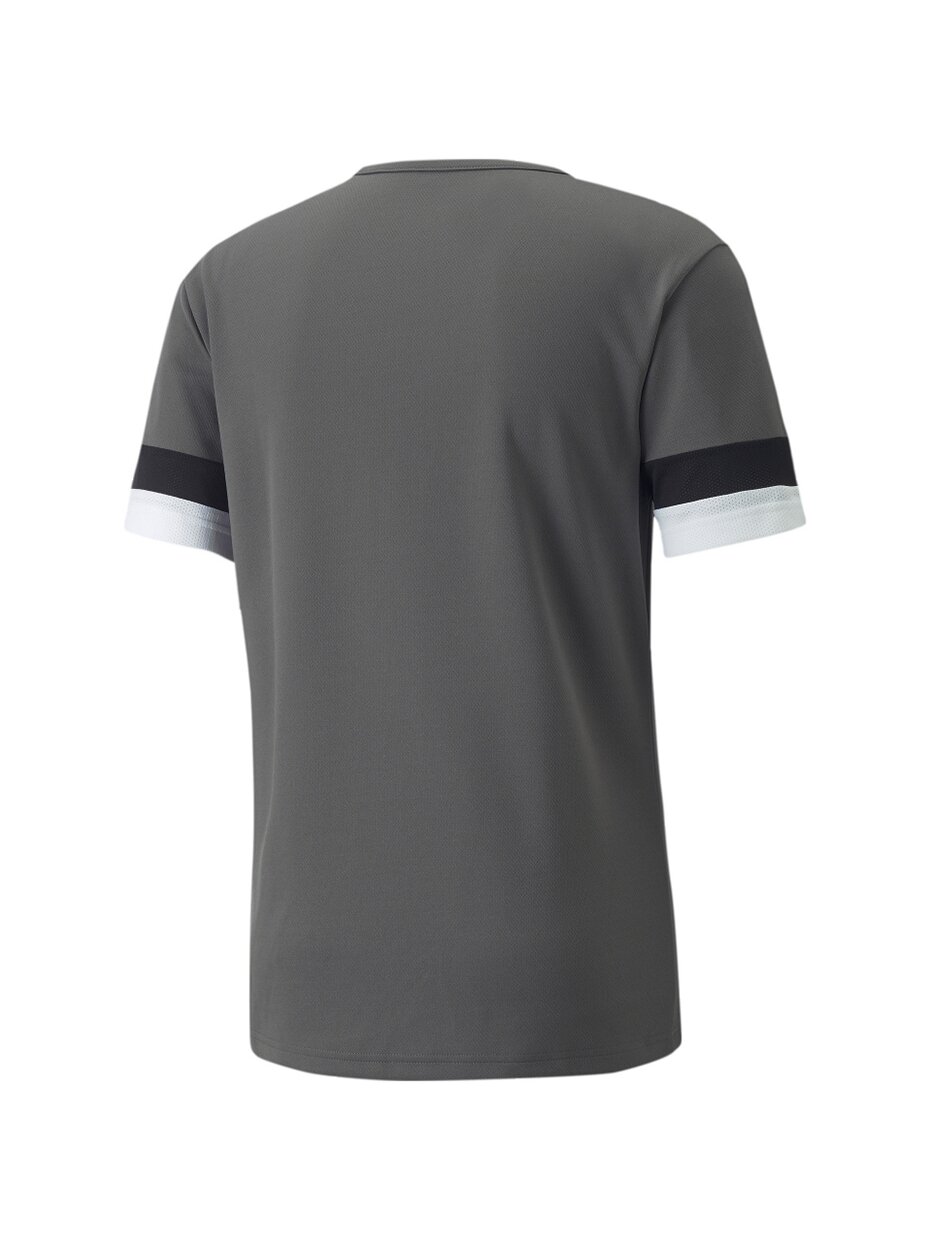 Puma teamRISE Rūkyti vyriški marškinėliai pilki 704932 13 Puma teamRISE Rūkyti vyriški marškinėliai pilki 704932 13