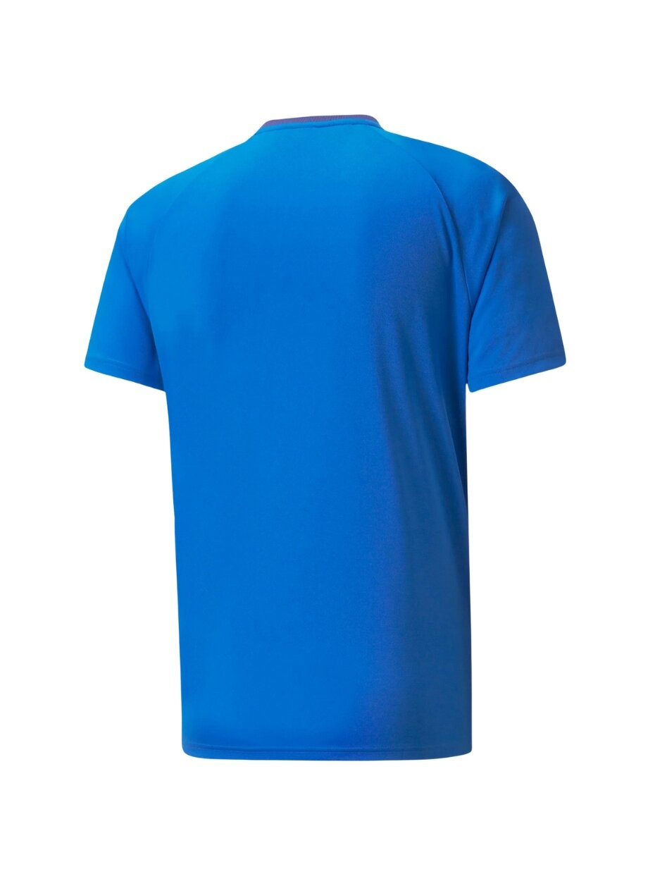 Puma teamVISION Jersey vyriški marškinėliai mėlyni 704921 02 1