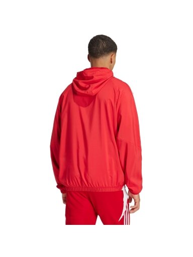 Vyriška striukė Adidas Tiro 24 raudona IM8809