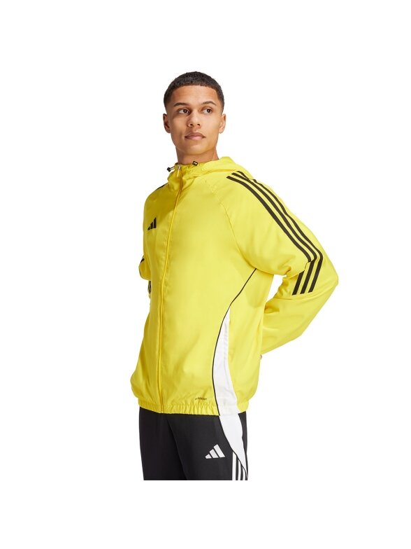 Vyriška striukė adidas Tiro 24 geltona IM8807 2 Vyriška striukė adidas Tiro 24 geltona IM8807 2