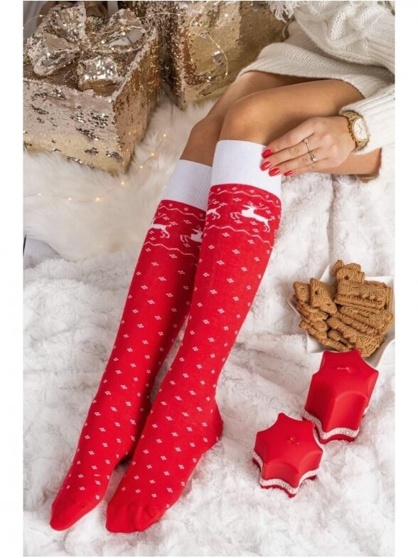 Milena kalėdinės kojinės raudonos