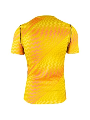 Nike Dri-Fit Gardien VI Goalkeeper vyrams geltona HV8301 718