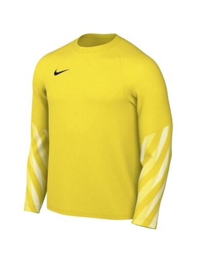 Nike Dri-Fit Park V Stadium vyrams geltona HV8314 718