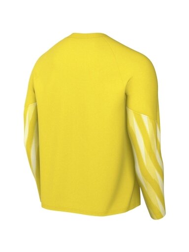 Nike Dri-Fit Park V Stadium vyrams geltona HV8314 718