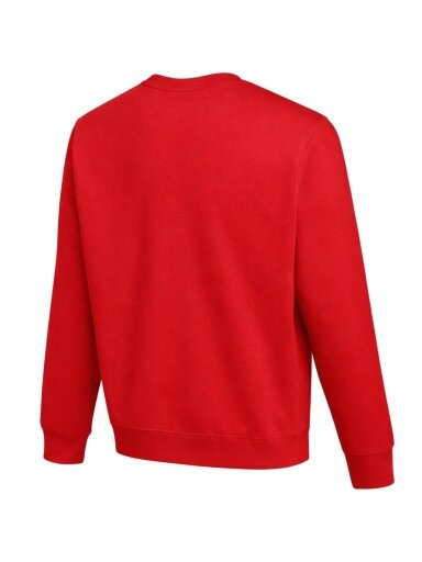 Nike Park 26 Fleece Crew vyrų džemperis raudona IO9039 657