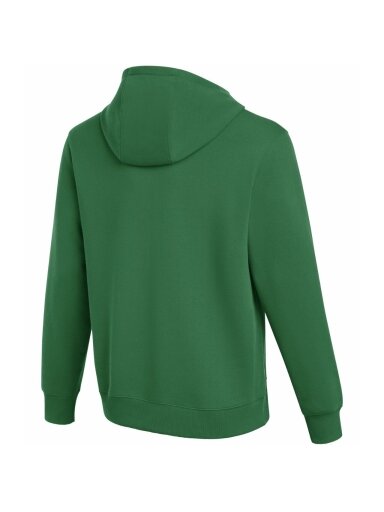 Nike Park 26 Fleece Hoodie vyrams žalia IB1222 302