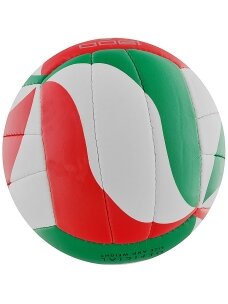Molten V5M1900 balta-raudona-žalia tinklinis