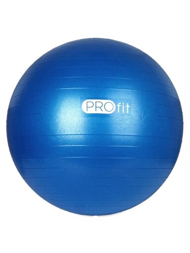 Profit gimnastinis kamuolys 45 cm mėlynas su pompa DK 2102