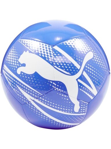 Puma Attacanto futbolo mėlynas 84073 13