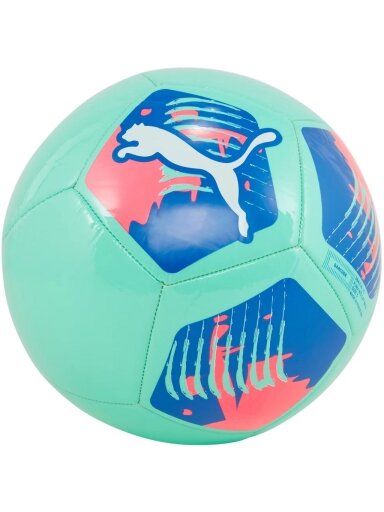 Puma Big Cat futbolo kalykla 84214 13 Puma Big Cat futbolo kalykla 84214 13